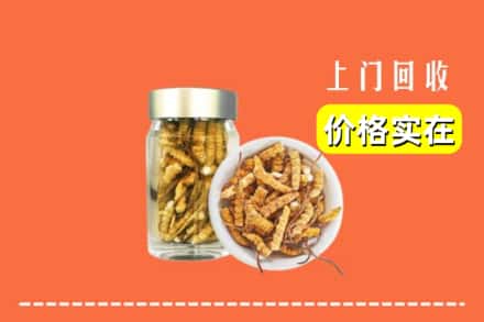 新乡封丘县回收散虫草