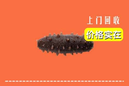 新乡封丘县回收海参